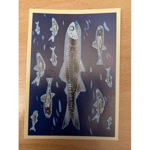 (4406) Image Panini X17 Le Monde Des Animaux Mille Et Une Couleurs 