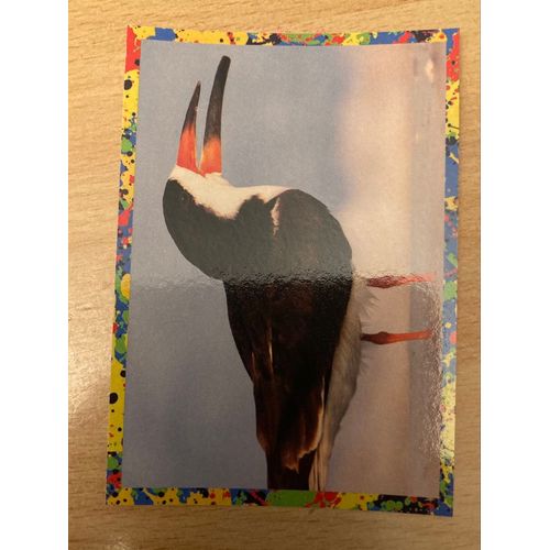 (4414) Image Panini 159 Le Monde Des Animaux Mille Et Une Couleurs 