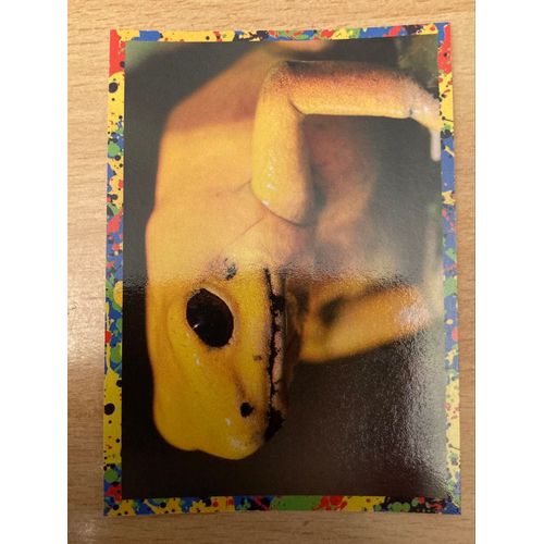 (4387) Image Panini 46 Le Monde Des Animaux Mille Et Une Couleurs 
