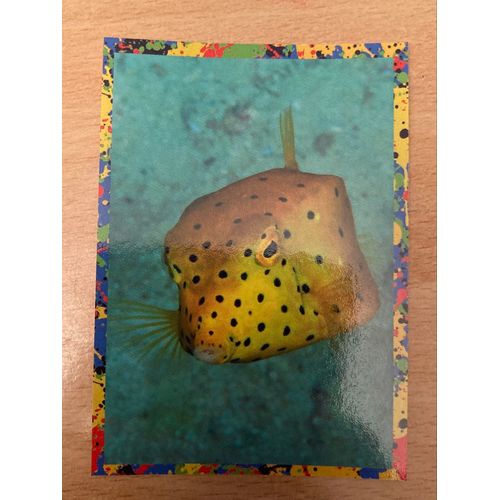 (4403) Image Panini 33 Le Monde Des Animaux Mille Et Une Couleurs 