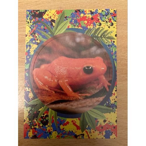 (433) Image Panini 8 Le Monde Des Animaux Mille Et Une Couleurs 