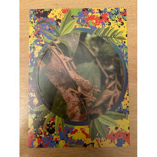 (3968) Image Panini X9 Le Monde Des Animaux Mille Et Une Couleurs 