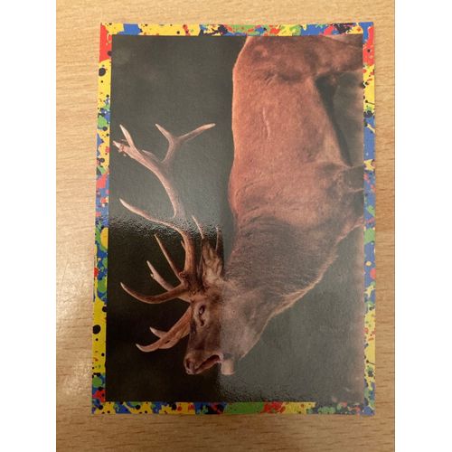 (3976) Image Panini 89 Le Monde Des Animaux Mille Et Une Couleurs 