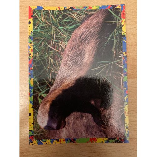 (3796) Image Panini 28 Le Monde Des Animaux Mille Et Une Couleurs 