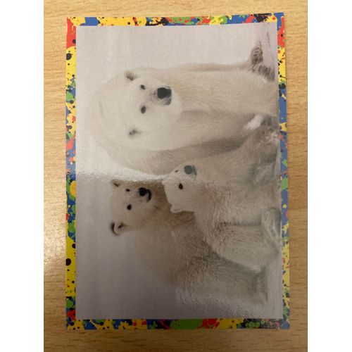 (4022) Image Panini 106 Le Monde Des Animaux Mille Et Une Couleurs 