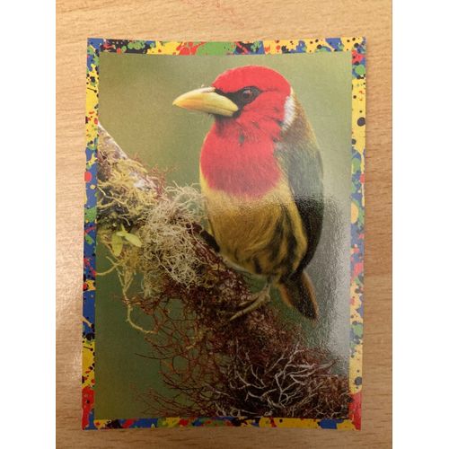 (312) Image Panini 132 Le Monde Des Animaux Mille Et Une Couleurs 