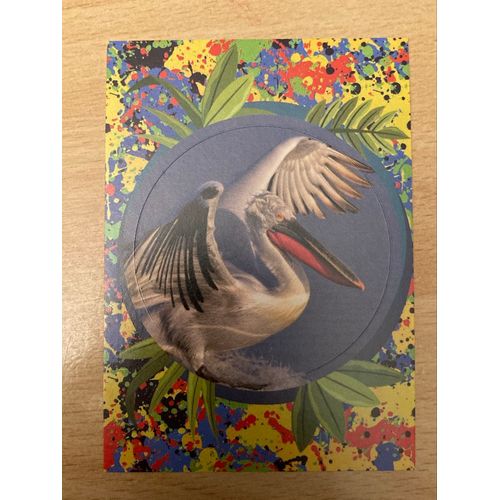 (381) Image Panini 156 Le Monde Des Animaux Mille Et Une Couleurs 