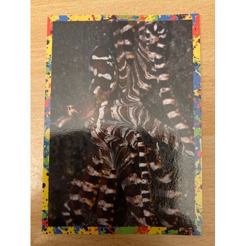 (3942) Image Panini 118 Le Monde Des Animaux Mille Et Une Couleurs 