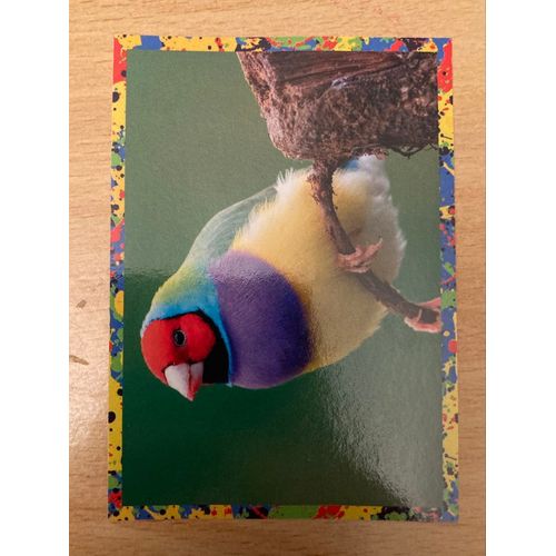 (3960) Image Panini 133 Le Monde Des Animaux Mille Et Une Couleurs 