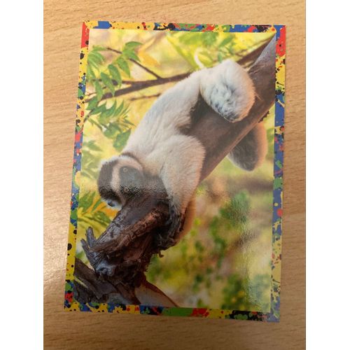 (3936) Image Panini 105 Le Monde Des Animaux Mille Et Une Couleurs 