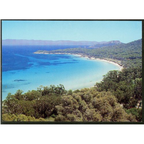 Carte Postale Ile De Porquerolles, La Plage De La Courtade, 1994