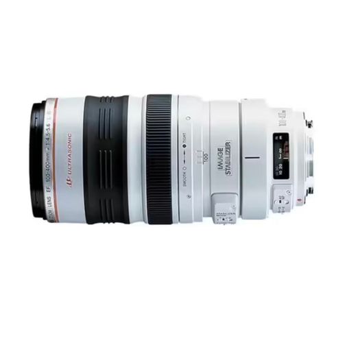 Canon EF 100-400mm f/4.5-5.6 L IS USM