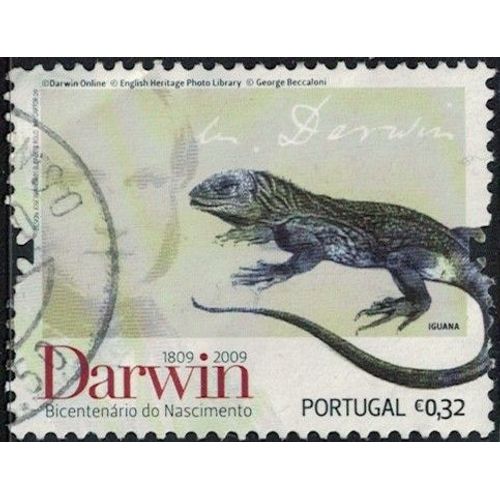 Portugal 2009 Oblitéré Used Darwin Iguane Galapagos Amblyrhynchus Cristatus Y&t Pt 3364 Su