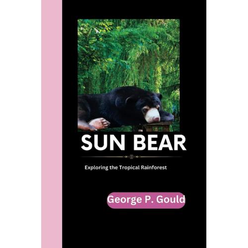Sun Bear: Exploring The Tropical Rainforest