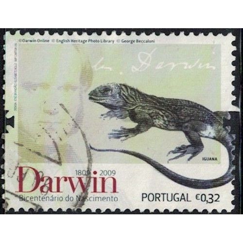 Portugal 2009 Oblitéré Used Darwin Iguane Galapagos Amblyrhynchus Cristatus Y&t Pt 3364 Su