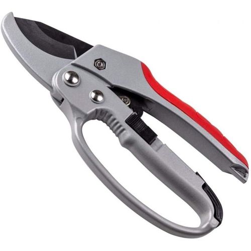 Jardin Sécateur sécateurs Outils Fruit Élagage Ciseaux Direction Bonsai Jardinage Sécateurs Sécateur Outils Tondeuse