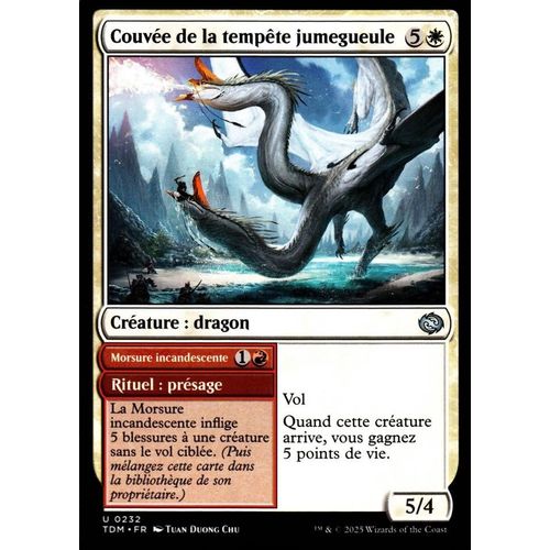 Couvée De La Tempête Jumegueule - Magic - Tarkir La Tempête Des Dragons - U - 232