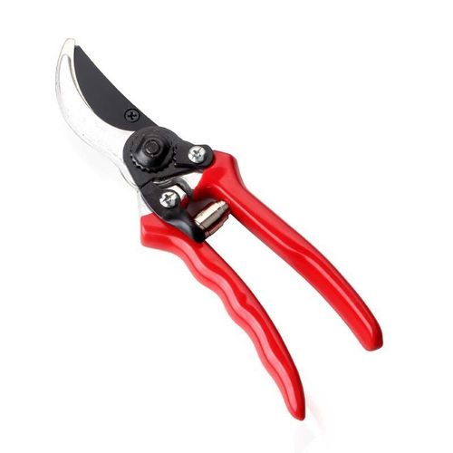 Sécateur Professionnel 20,5 cm