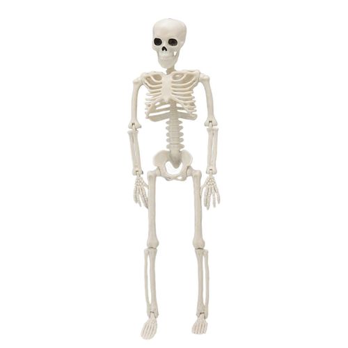 40cm Halloween Crâne Squelette Décoration Réaliste Humains Os Mobiles Maison Hantée Accessoires Décoratifs Squelette