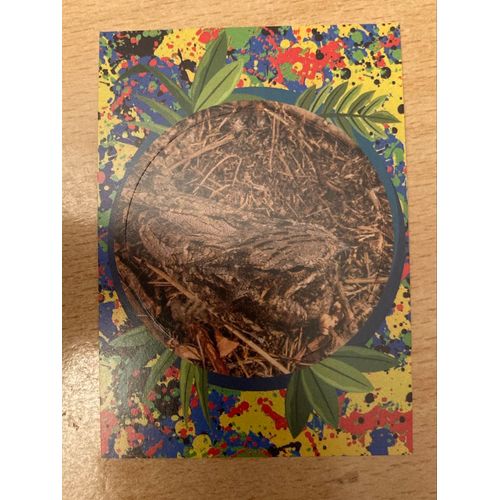 (4398) Image Panini X1 Le Monde Des Animaux Mille Et Une Couleurs 