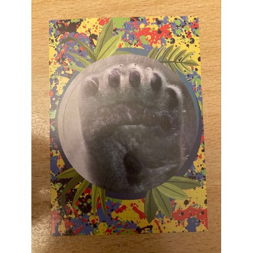 (3846) Image Panini 107 Le Monde Des Animaux Mille Et Une Couleurs 