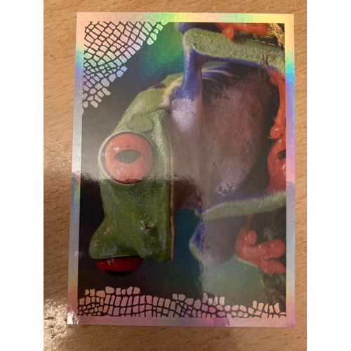 (4259) Image Panini 162 Le Monde Des Animaux Mille Et Une Couleurs 