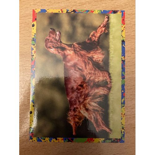 (4029) Image Panini 175 Le Monde Des Animaux Mille Et Une Couleurs 