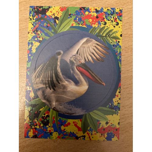 (4153) Image Panini 156 Le Monde Des Animaux Mille Et Une Couleurs 