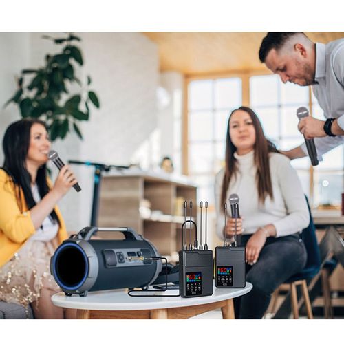 Système de microphone sans fil avec anti-hurlement et réverbération