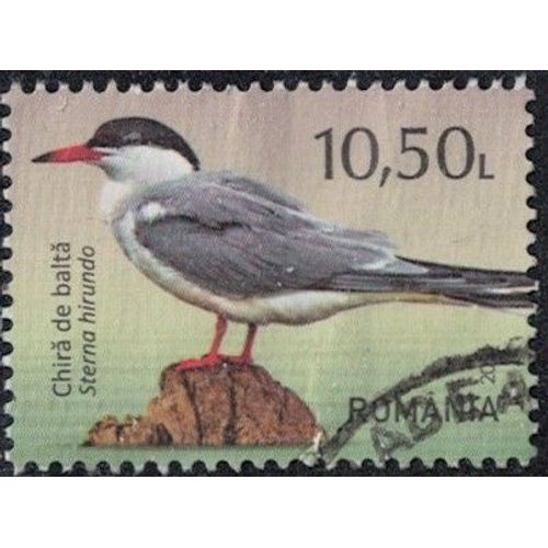Roumanie 2021 Oblitéré Used Oiseau Sterna Hirundo Sterne Pierregarin Y&t Ro 6679 Su
