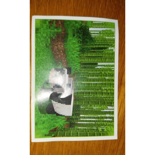 Carte Panini Minecraft 213