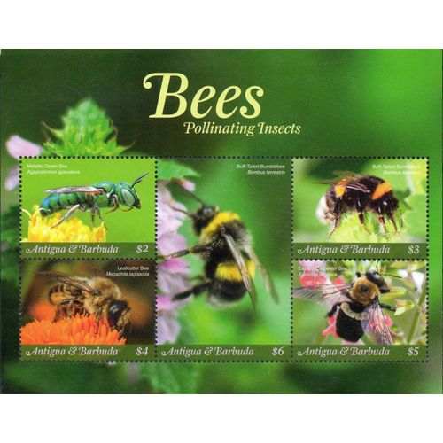 Antigua Y Barbuda Timbre Animaux : Les Abeilles 2018