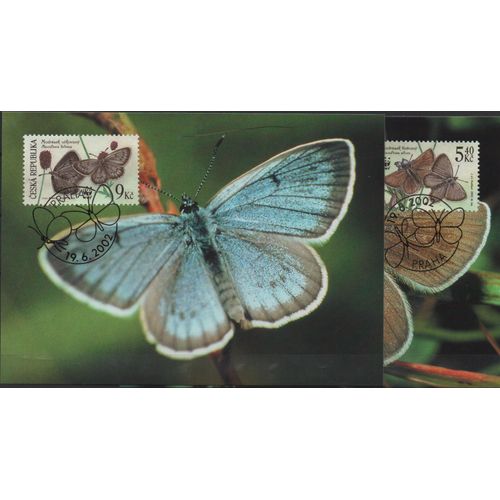 République Tchèque Cartes Animaux : Les Papillons