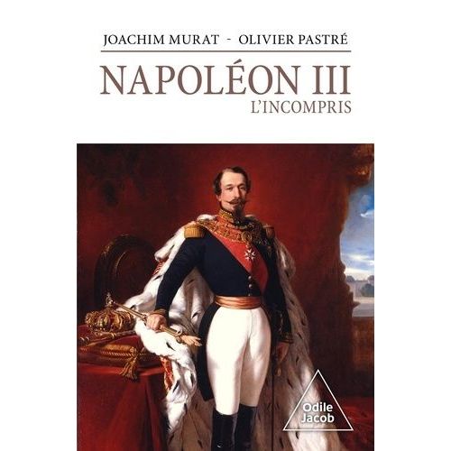 Napoléon Iii, L'incompris