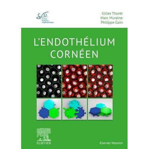 L'endothélium Cornéen