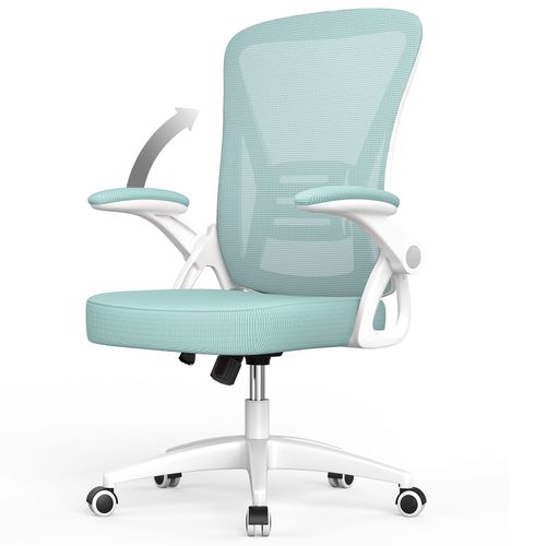 Chaise De Bureau Ergonomique, Avec Accoudoirs Réglables, Soutien Lombaire, Réglable En Hauteur, Dossier En Filet Respirant, Vert