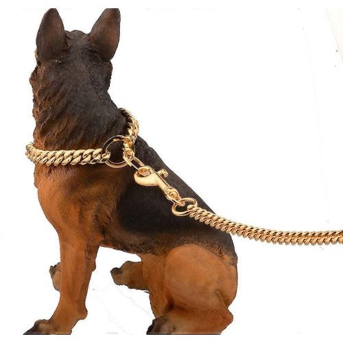 10mm Métal Chien Laisse Chien Chaîne Avec Poignée Rembourrée Avec Poignée Rembourrée Pour Chiens Moyens Laisse Pour Animaux De Compagnie Or