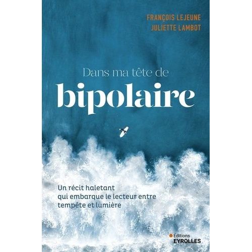 Dans Ma Tête De Bipolaire