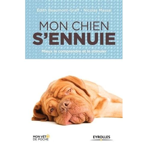 Mon Chien S'ennuie - Mieux Le Comprendre Et Le Stimuler