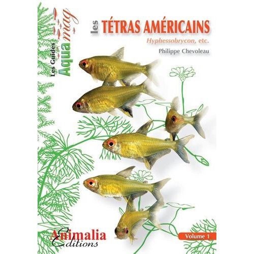 Les Tétras Américains - Tome 1