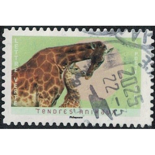 France 2023 Oblitéré Used Tendres Animaux Girafes Y&T Fr 2248 Su