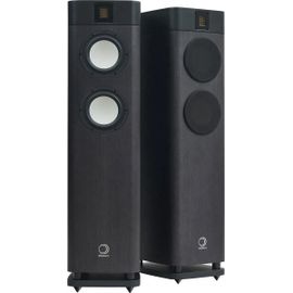 Enceinte colonne Elipson Legacy 3220 Chêne anthracite
