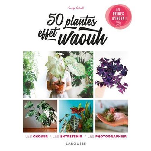 50 Plantes Effet Waouh