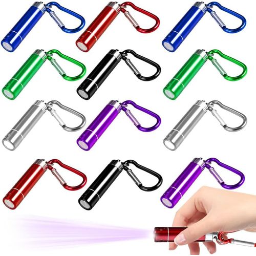 Lot De 12 Porte-Clés Led - Mini Porte-Clés Led - Mini Lampe De Poche Portable Pour Enfants - Pour L'extérieur, Le Camping, Le Cyclisme (Rouge, Violet, Vert, Bleu, Noir, Argent)