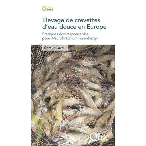 Élevage De Crevettes D'eau Douce En Europe
