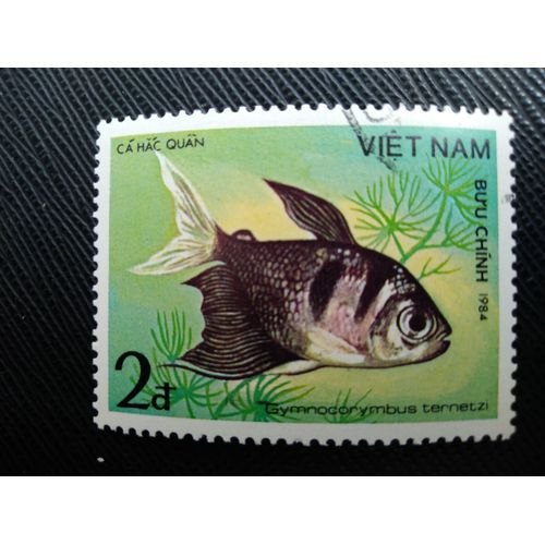 Timbre Vietnam (Yt 509 ) 1984 Tetra Veuve Noire (Gymnocorymbus Ternetzi)
