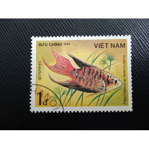 Timbre Vietnam (Yt 508 ) 1984 Paradis Gourami (Macropodus Opercularis)