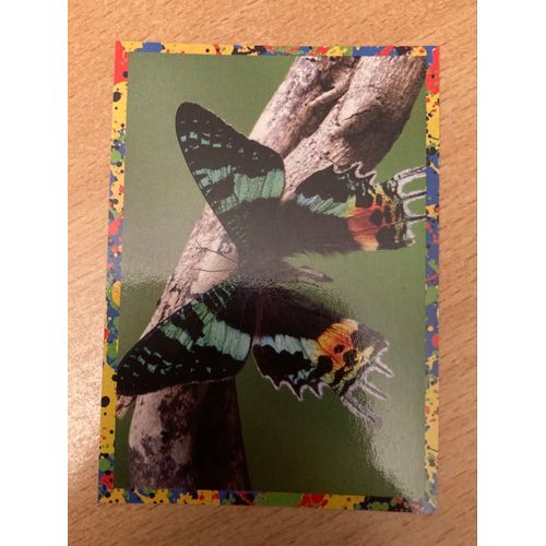 (4409) Image Panini 131 Le Monde Des Animaux Mille Et Une Couleurs 