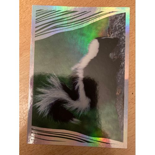 (4118) Image Panini 20 Le Monde Des  Animaux Mille Et Une Couleurs 