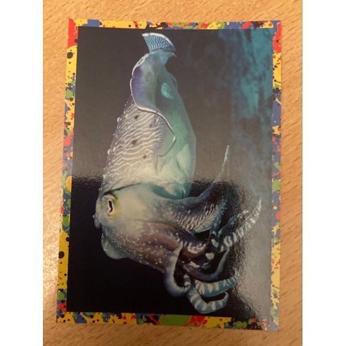 (4157) Image Panini 47 Le Monde Des Animaux Mille Et Une Couleurs 